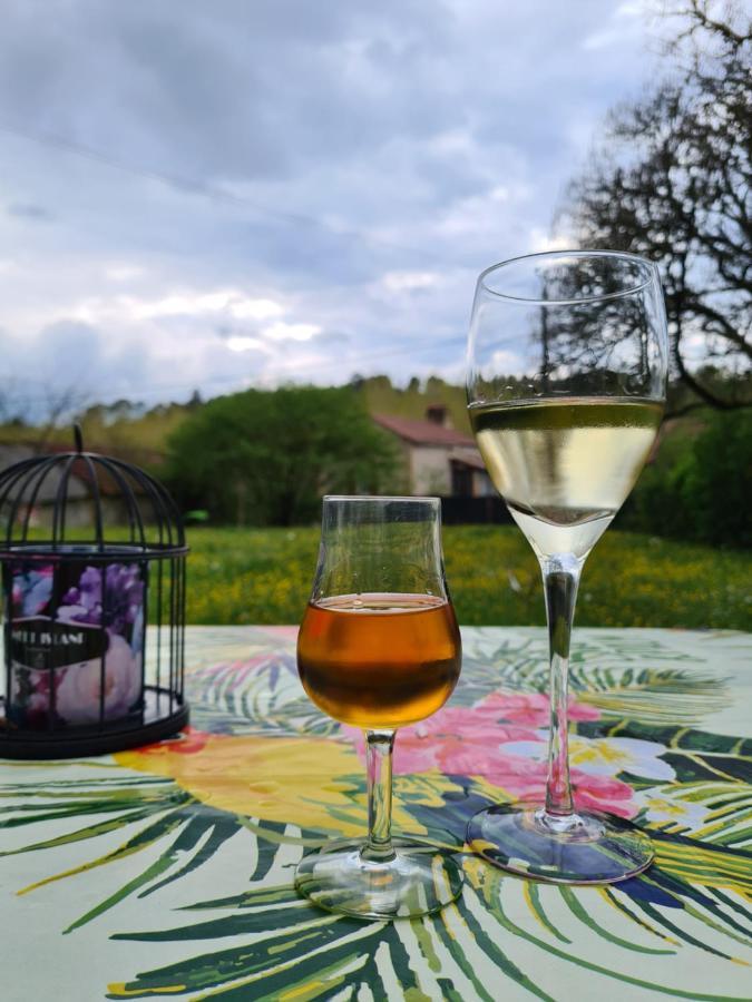 La Perle De Frayssinet-Le-Gélat - Chambre d'Hôtes - B&B Esterno foto